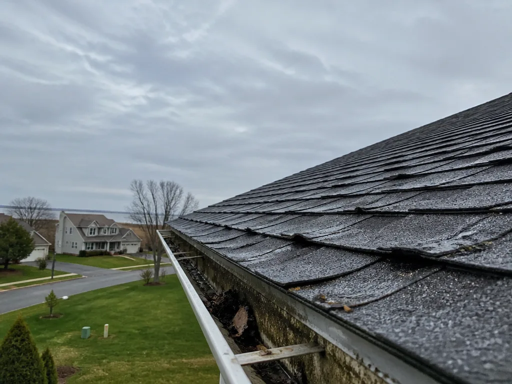Spotting Common Roofing Warning Signs Across Delaware